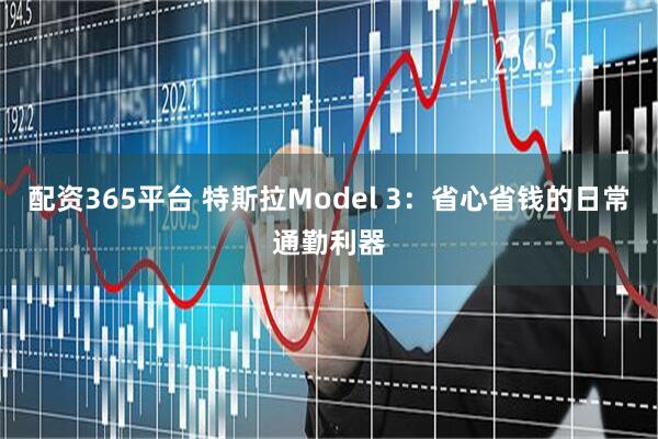 配资365平台 特斯拉Model 3：省心省钱的日常通勤利器