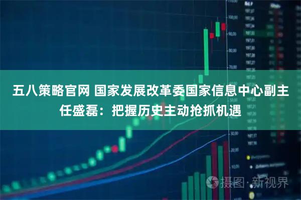 五八策略官网 国家发展改革委国家信息中心副主任盛磊：把握历史主动抢抓机遇